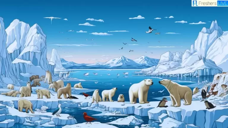 Amazing Animals of the Arctic - Top 10 Frozen Frontier