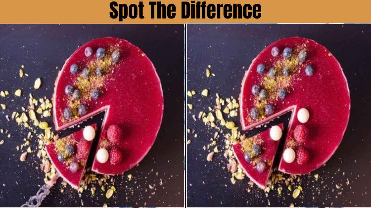 Spot The Difference: Spot 5 Differences in 17 Seconds