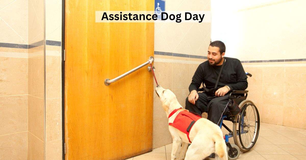 Assistance Dog Day 2023