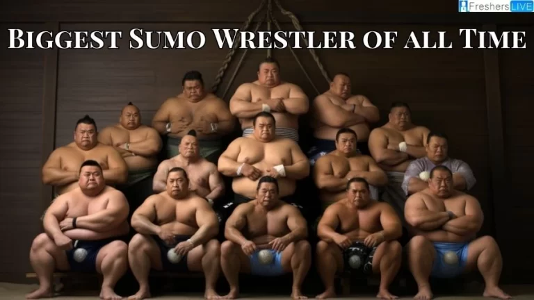 Biggest Sumo Wrestler of All Time - Top 10 Colossal Legends