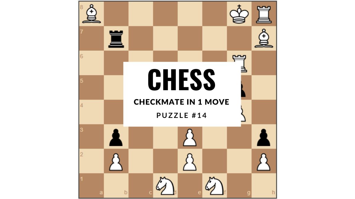 Chess Game With Answers, 1 Move Checkmate Puzzles