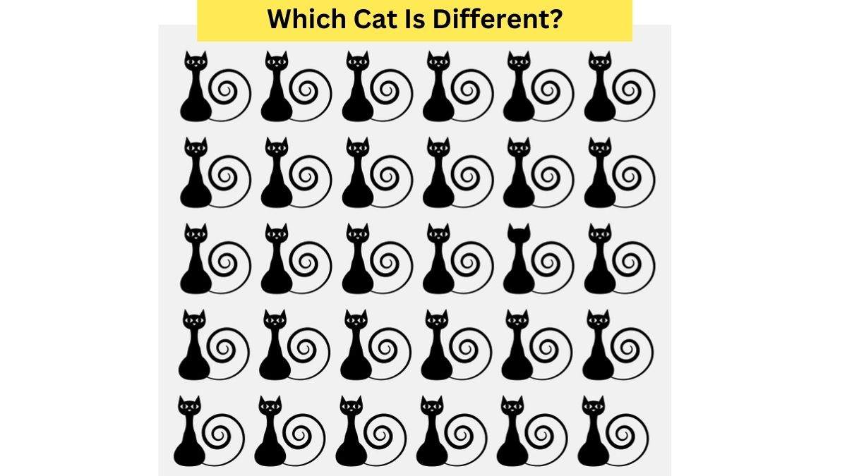 How Attentive Are You? Find The Cat That Looks Different Within 7 Seconds!