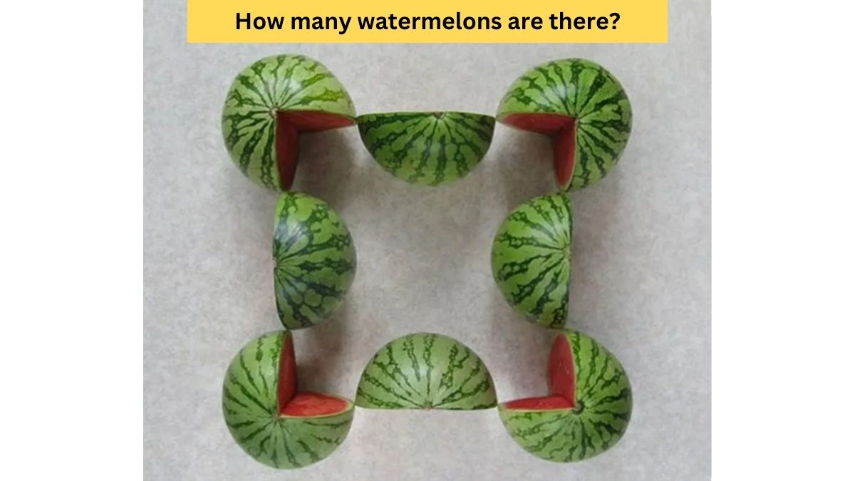 Watermelon Puzzle for Testing Your IQ