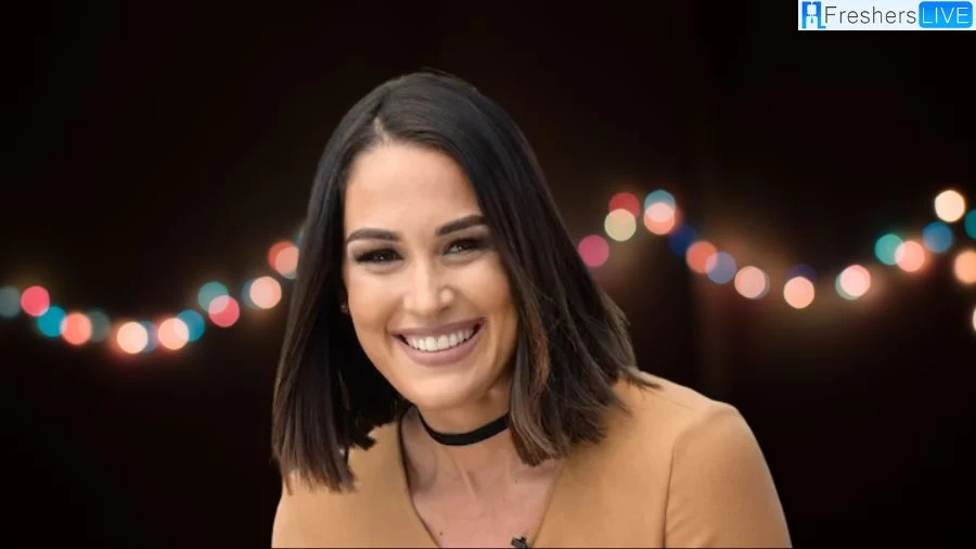 Is Brie Bella Still Married? Who is Brie Bella Married to?