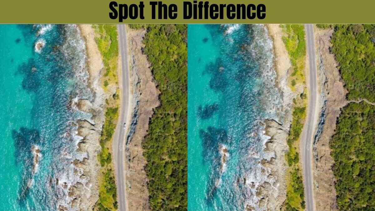 Spot the Difference: Welcome to our thrilling Spot the Difference challenge!