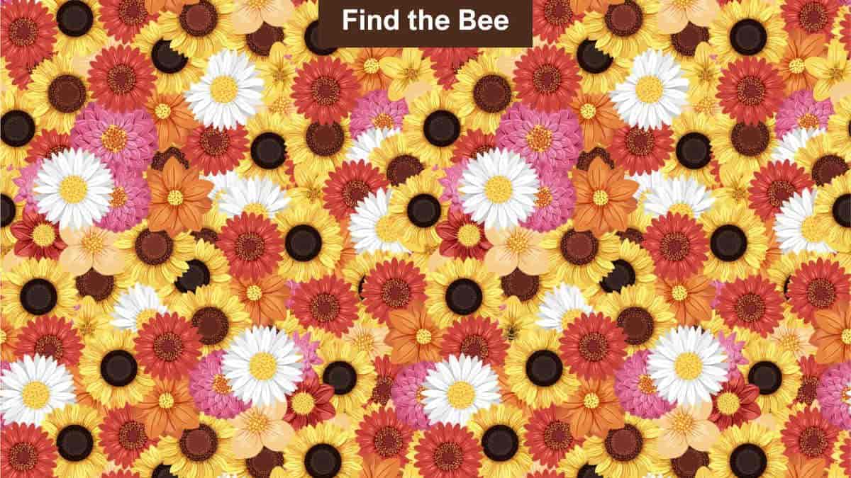 Optical Illusion To Test Your Vision: Find A Bee In 7 Seconds