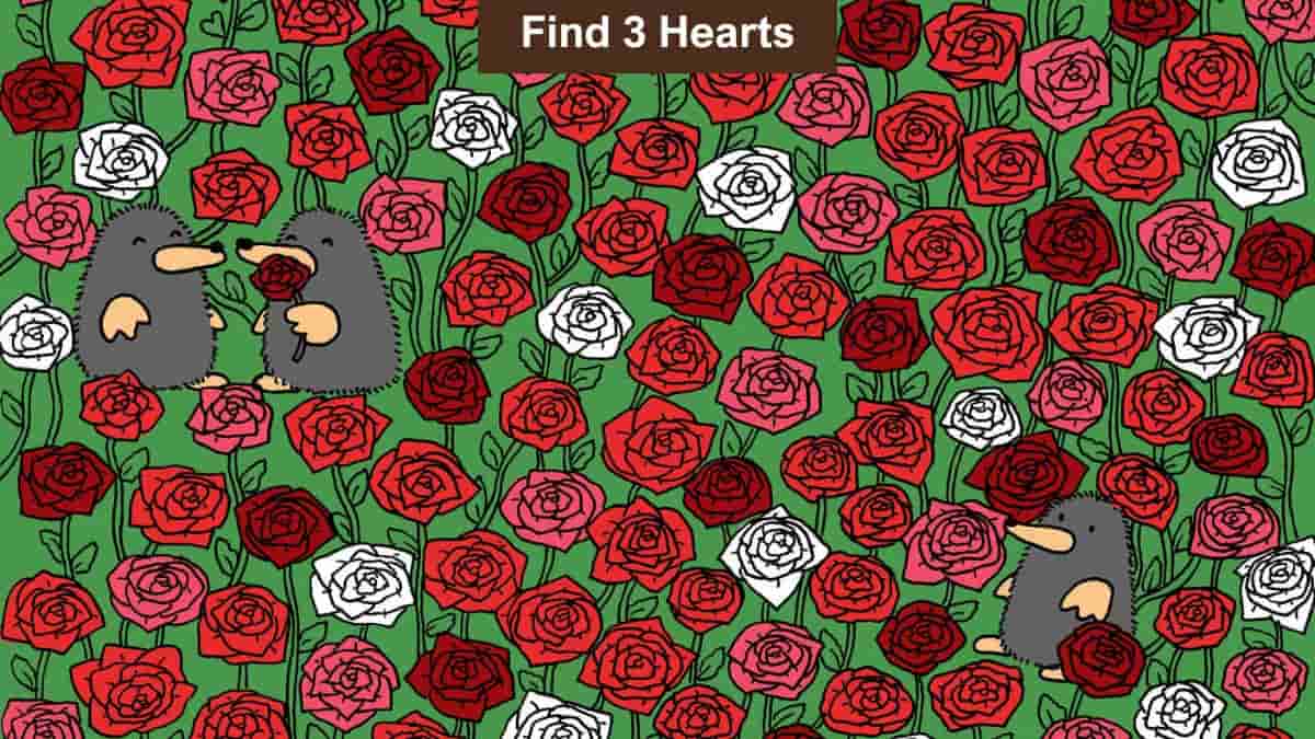 Optical Illusion Vision Challenge: Find 3 Hearts Among the Roses in 13 Seconds