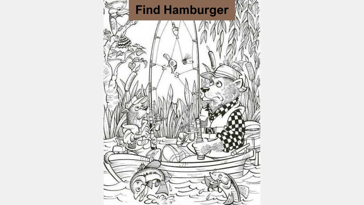Optical Illusion Visual Challenge: Find the Hamburger in 6 Seconds