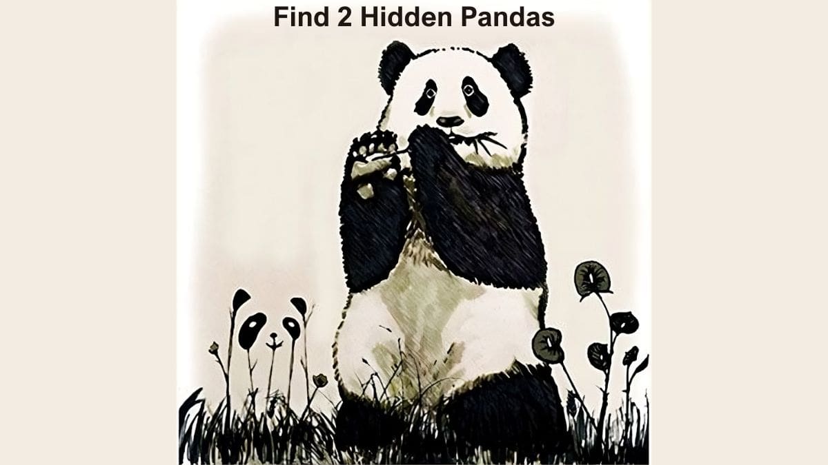 Optical Illusion to Test Your Vision: Find 2 Hidden Pandas in 5 Seconds