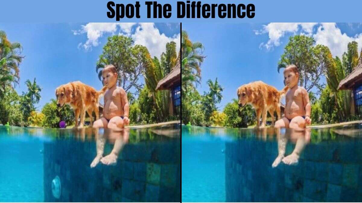 Spot The Difference: Spot 5 Differences in 11 Seconds