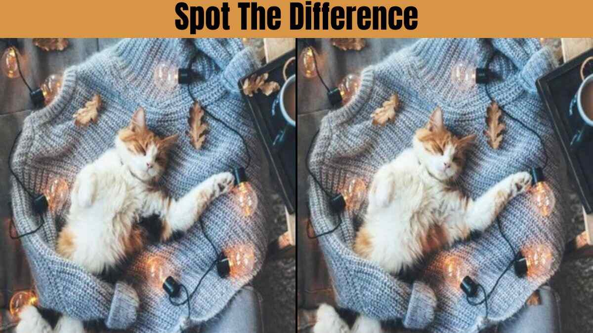Spot The Difference: Spot 5 Differences In 27 Seconds