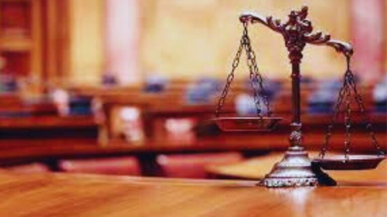 What is a legal case citation?