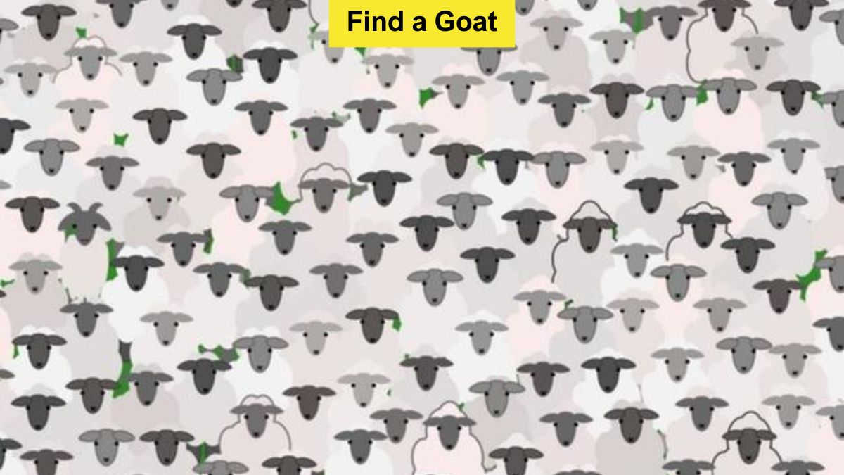 You have eagle eyes if you can spot a goat among the flock of sheep in 9 seconds