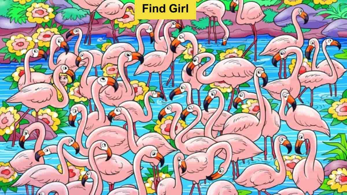 Optical Illusion: Find the Hidden Girl in 6 Seconds