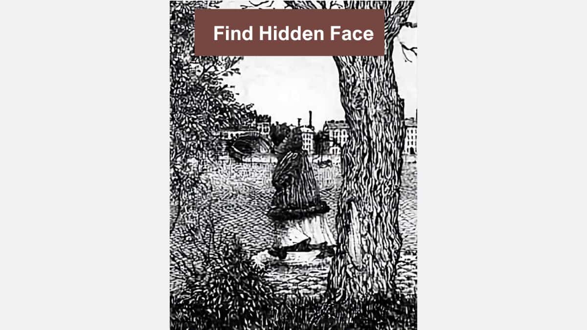 Optical Illusion - You have the eyes of an eagle if you can find the hidden face in 5 seconds