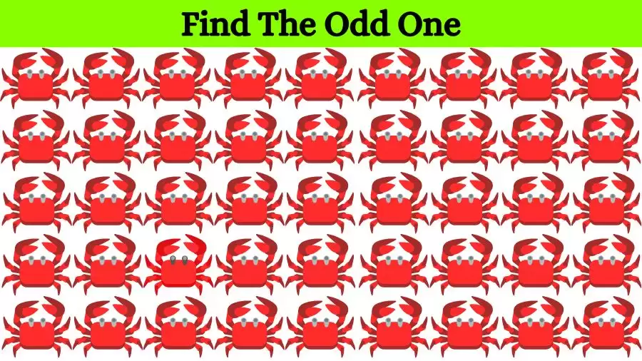 Circle the Odd One Out In 10 secs? Brain Teaser