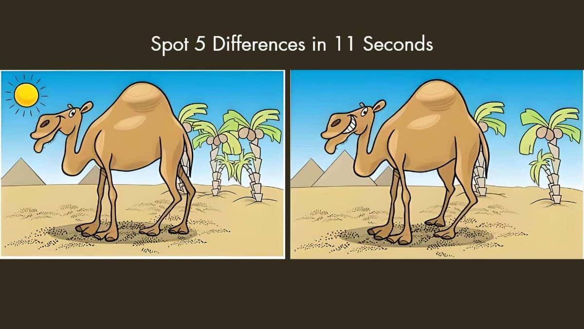Spot the Difference - Spot 5 Differences in 11 Seconds