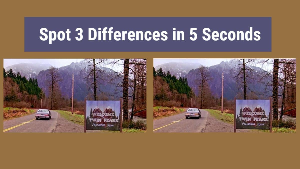 Spot 3 Differences in 5 Seconds