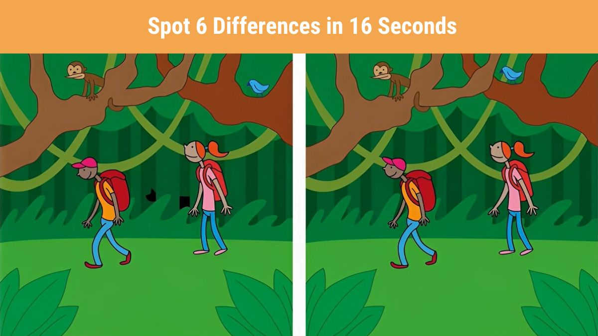 Spot 6 differences in 16 seconds