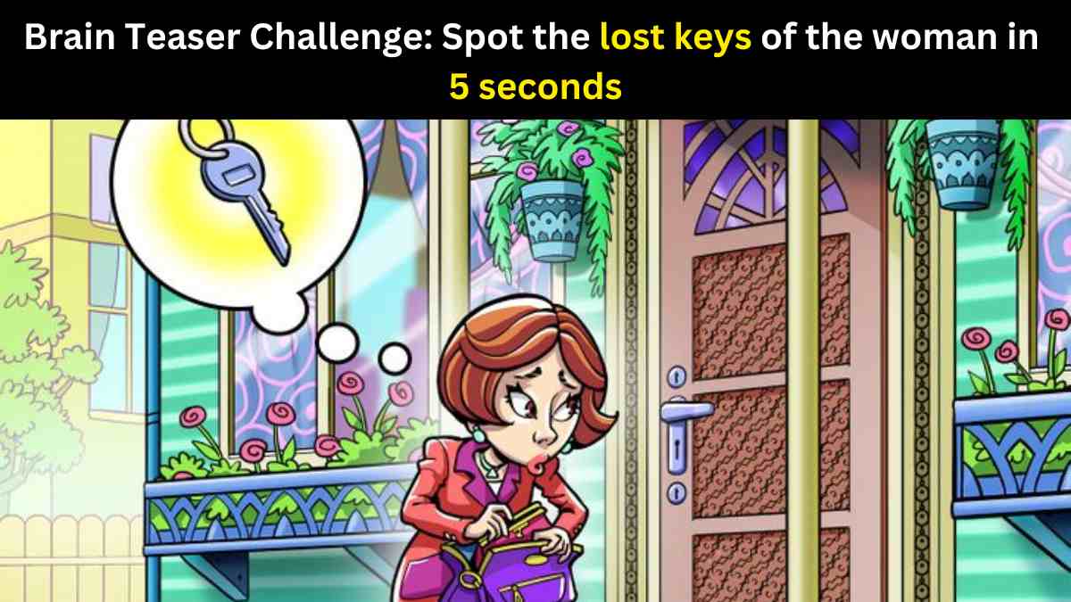 Brain Teaser Challenge: Can you Find the Woman’s Lost Keys in 5 Seconds?