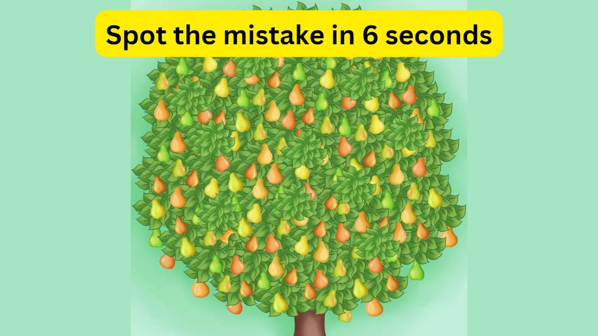 Brain Teaser IQ Test- Spot the mistake in the picture of tree in 6 seconds!