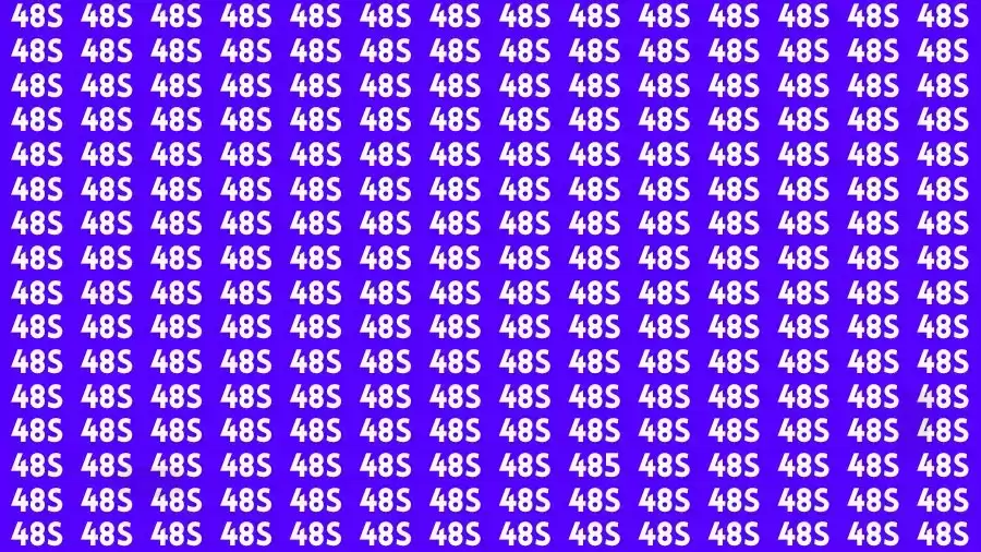Can you Find the Hidden Number 485 in 8 Secs