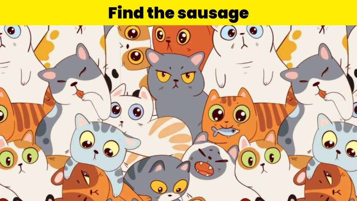 Visual Test - Find the sausage in 4 seconds
