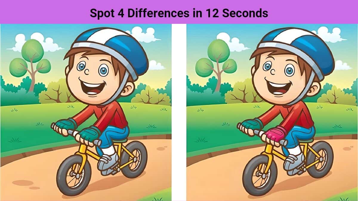 Spot the Difference - Spot 4 Differences in 12 Seconds