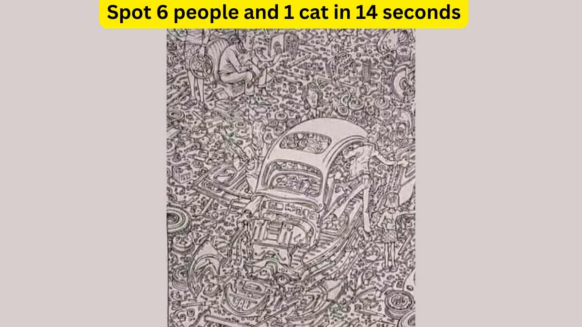 Optical Illusion: Spot 6 people and 1 cat in 14 seconds