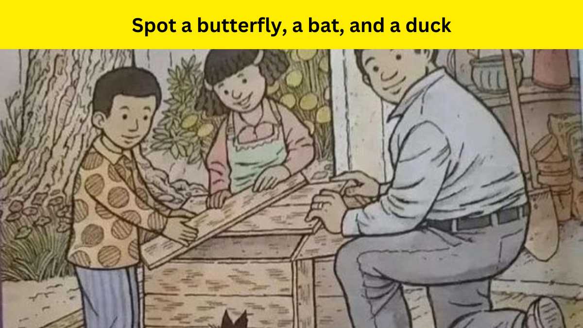 Spot a butterfly, a bat, and a duck