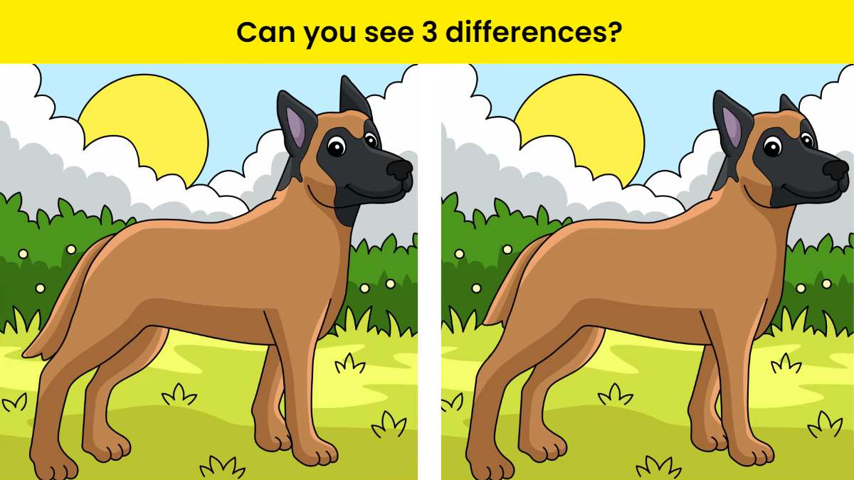 Can you spot 3 differences?