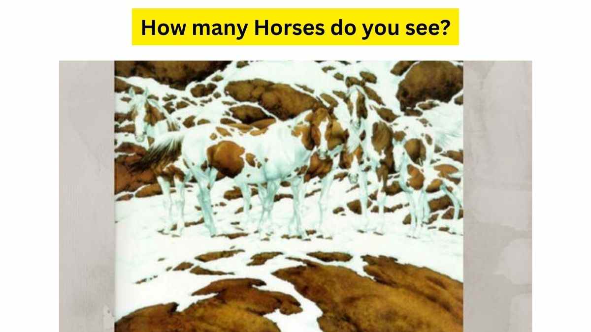 Count the horses!
