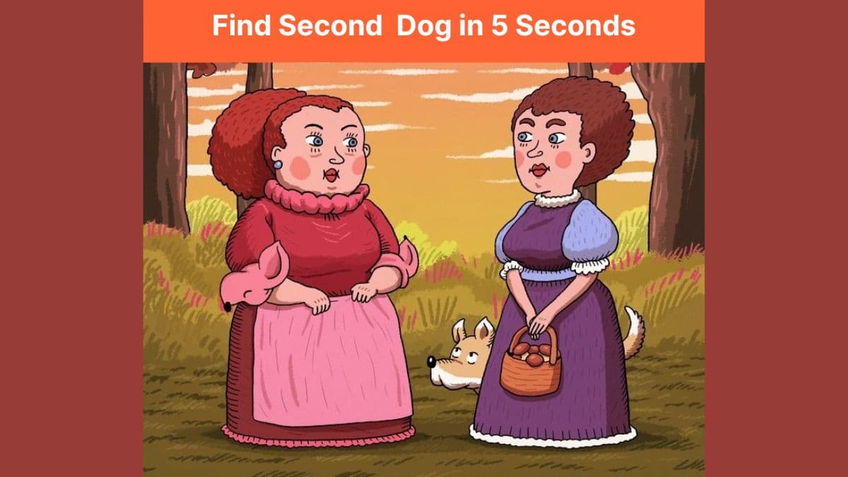 Find Second Dog in 5 Seconds