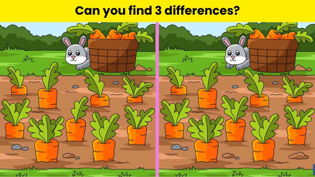 Spot 3 differences in 13 seconds
