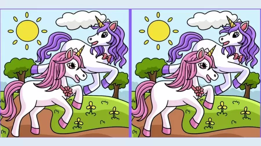If You Have Eagle Eyes Find the 3 Differences in the Unicorn Images Within 15 Seconds?