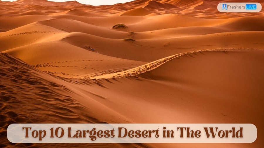 Largest Desert in the World - Top 10 Biggest Deserts List