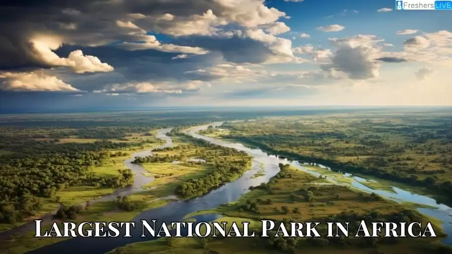 Largest National Park in Africa - Top 10 Adventurer