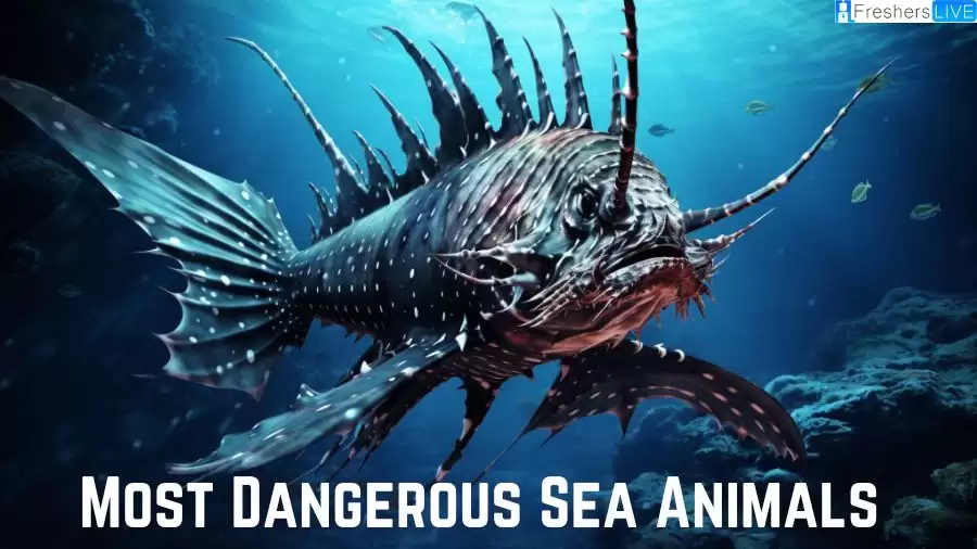 Most Dangerous Sea Animals - Top 10 Deadliest Marine Creatures
