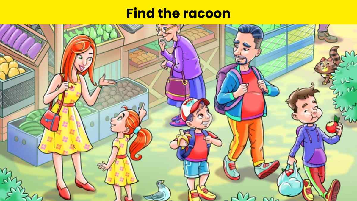 Find the racoon in 5 seconds