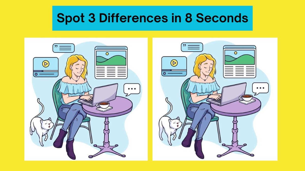 Spot 3 Differences Between the Lady and the Cat Pictures