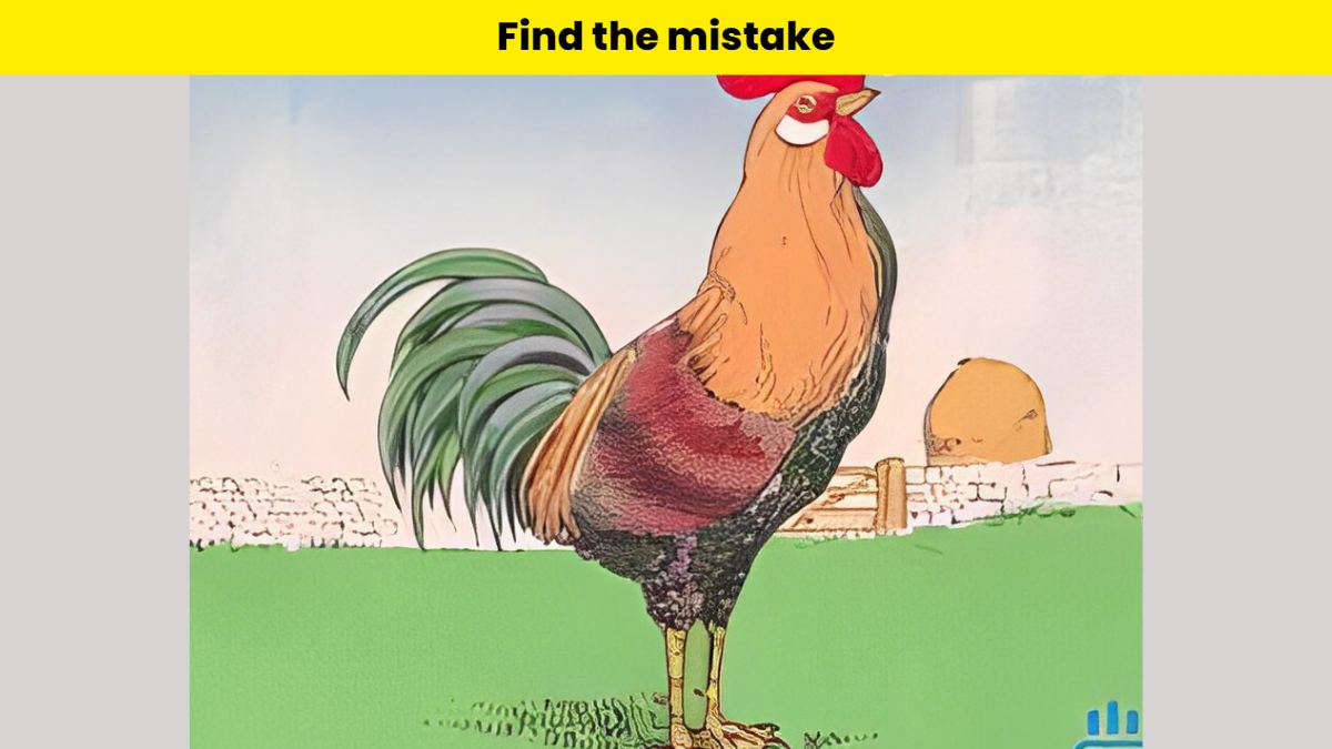 Find the mistake in rooster picture