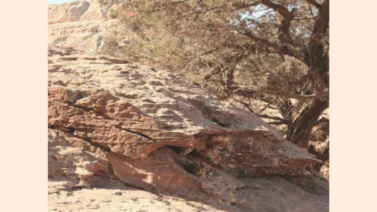 Optical Illusion: Can You Find The Two Cats Hidden In the Rocks in 10 Seconds?