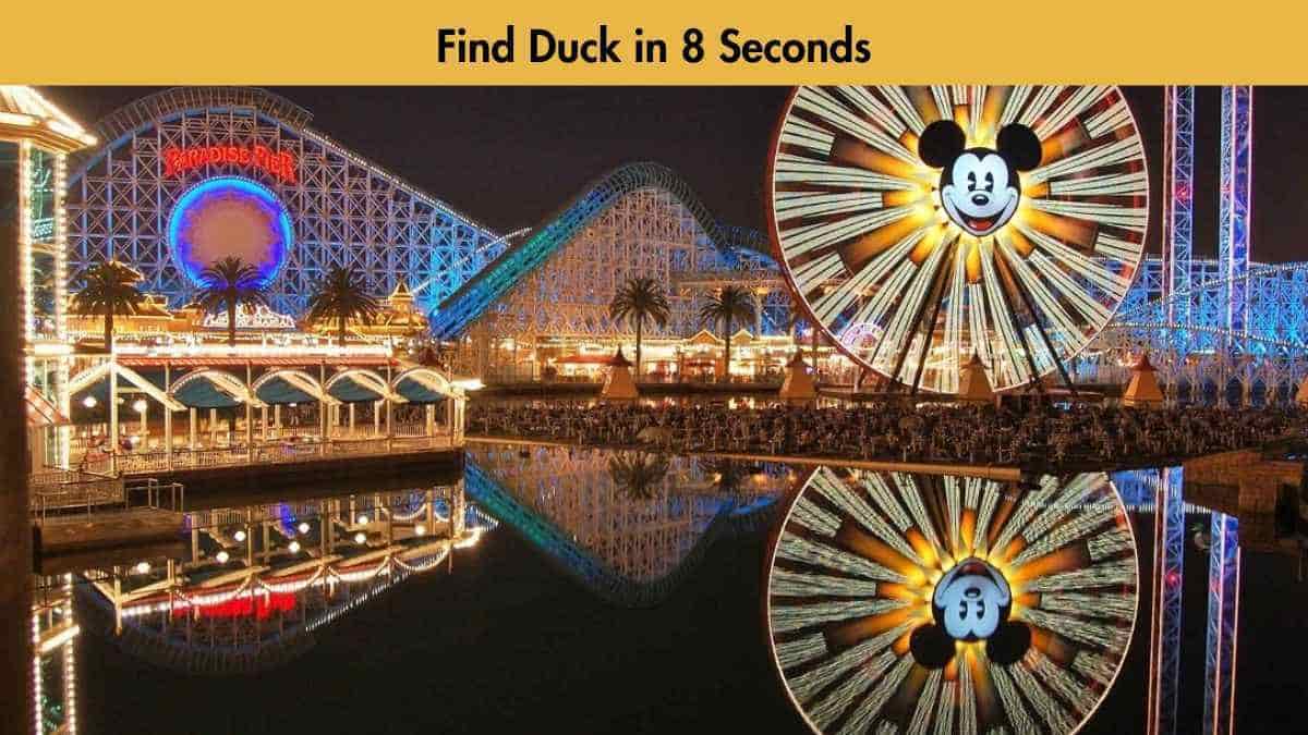 Find Hidden Duck in 8 Seconds