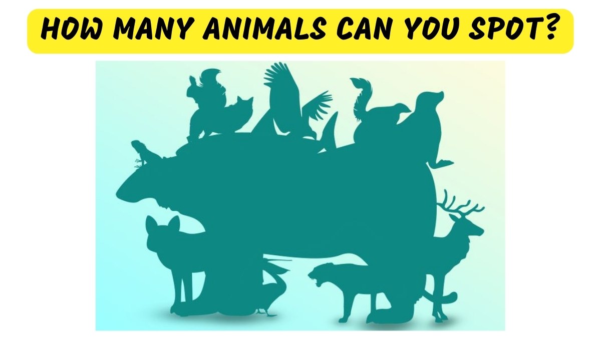 Can You Spot All The Hidden Animals in 23 Seconds?