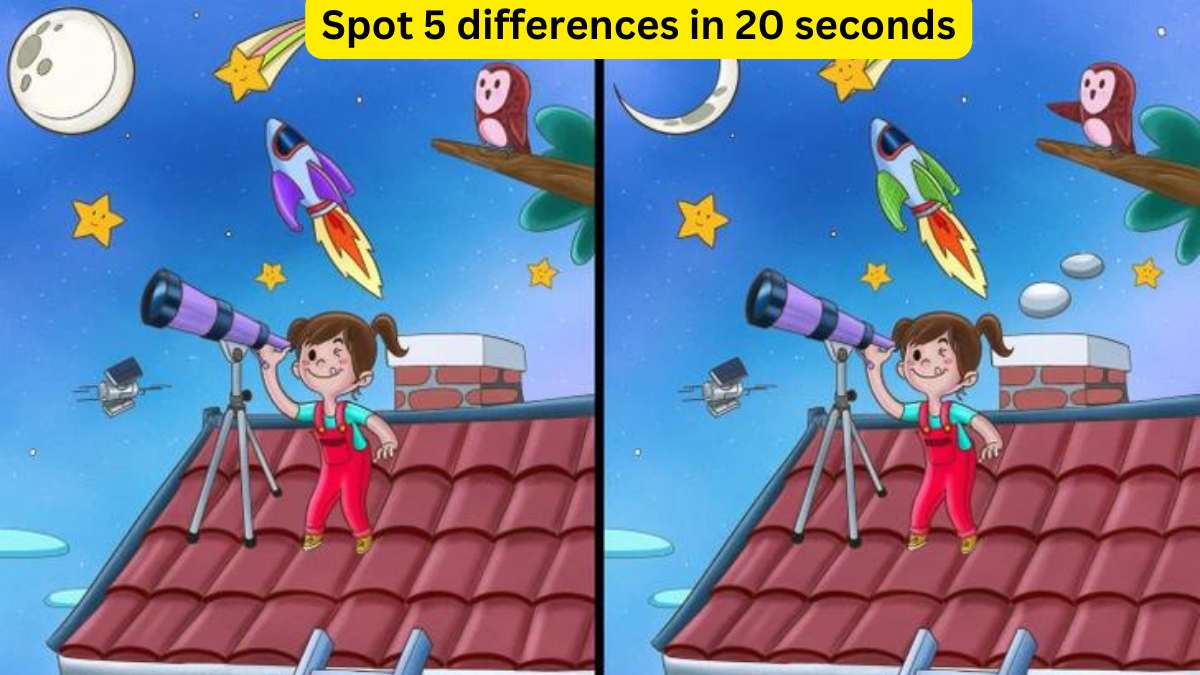 Spot the difference: Spot 5 differences in 20 seconds