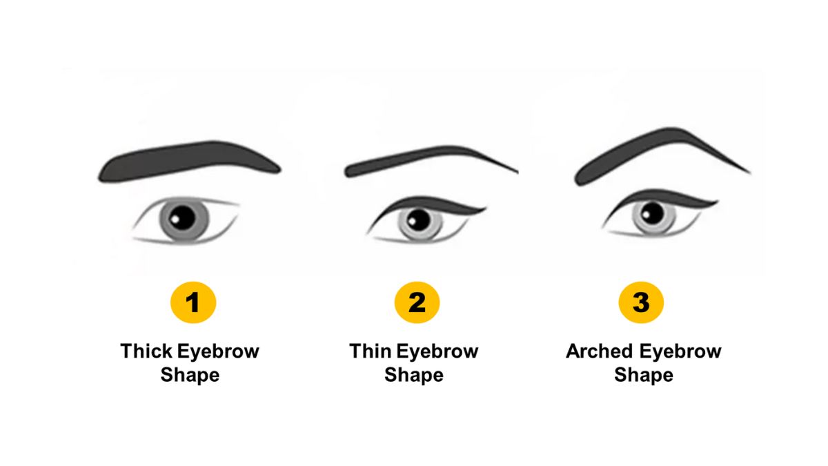 Eyebrow Shape Personality Test