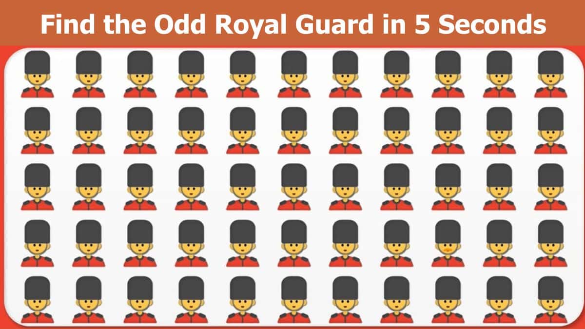 Find Odd Royal Guard in 5 Seconds