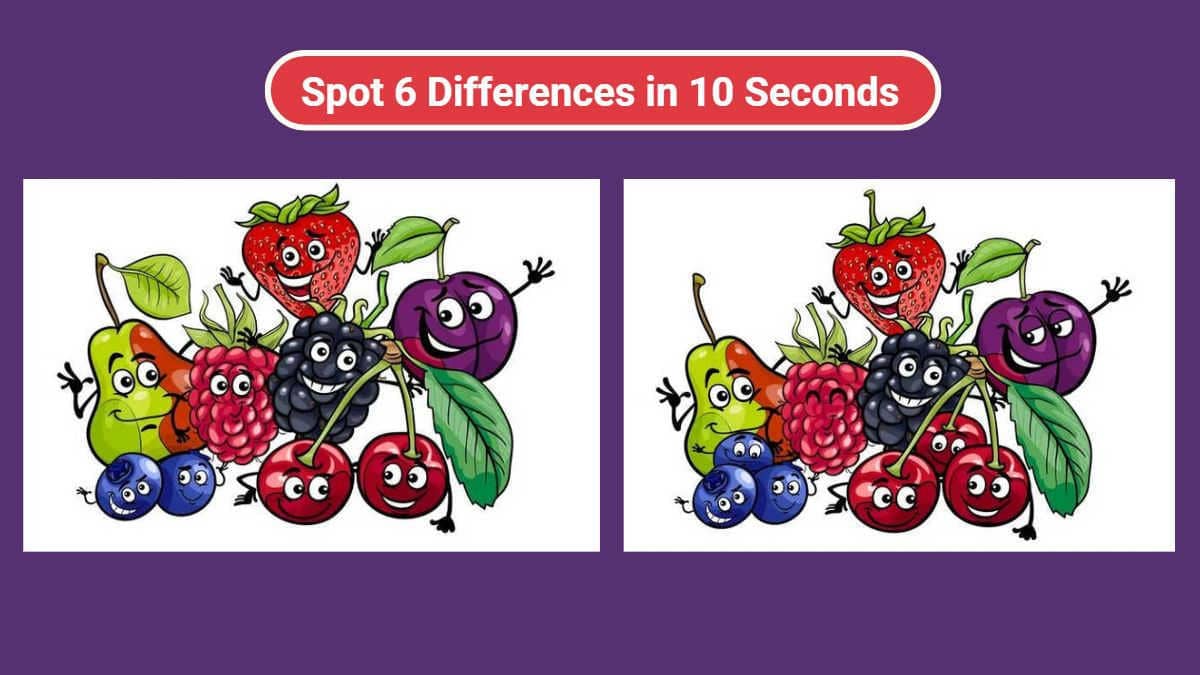 Spot 6 differences in 10 seconds