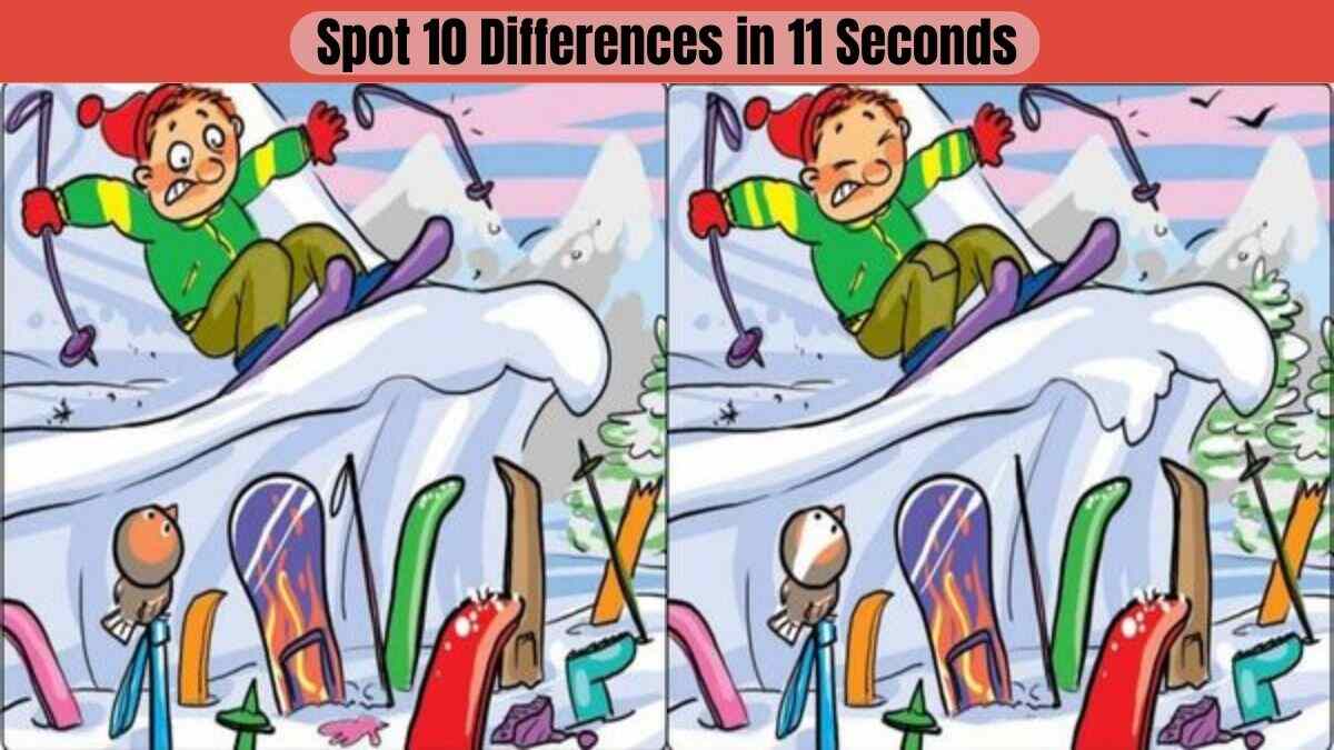 Supersmart People Need Only 11 Seconds To Spot The Differences