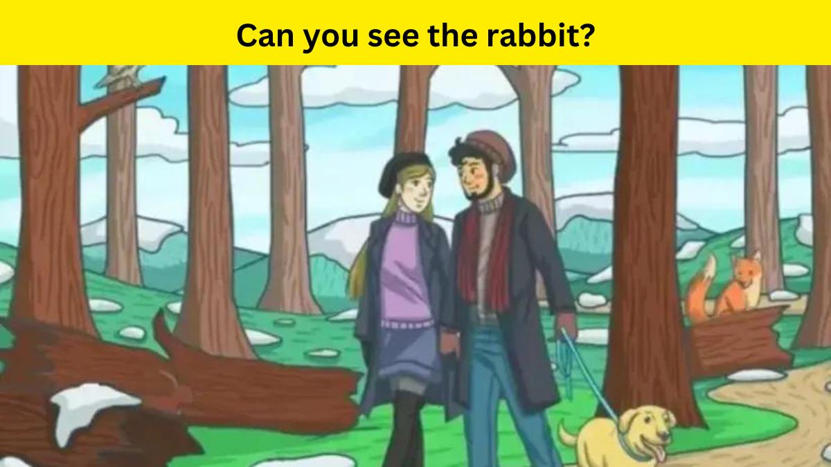 Optical Illusion- Find the rabbit in 7 seconds